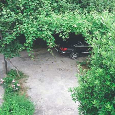 Apartment Lim Budva Exterior photo